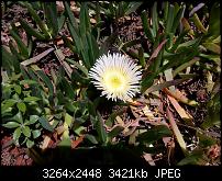 Samsung Galaxy S6 - Fotoqualität-2015-05-25-13.53.58.jpg