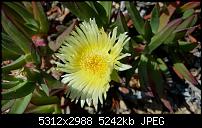 Samsung Galaxy S6 - Fotoqualität-2015-05-27-13.05.29.jpg