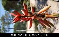 Samsung Galaxy S6 - Fotoqualität-2015-05-29-13.50.21.jpg