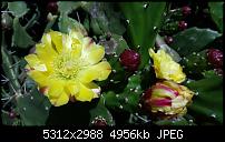 Samsung Galaxy S6 - Fotoqualität-2015-05-30-10.54.17.jpg