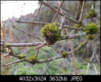 Samsung Galaxy S7 Edge – Qualität der Fotos-20160309_174349.jpg