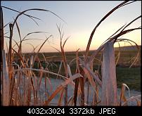 Samsung Galaxy S7 Edge – Qualität der Fotos-20160309_174726.jpg