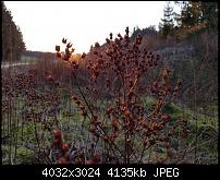 Samsung Galaxy S7 Edge – Qualität der Fotos-20160309_174143.jpg