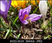 Samsung Galaxy S7 Edge  Qualität der Fotos-20160320_122403.jpg