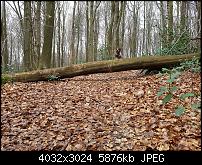 Samsung Galaxy S7 Edge – Qualität der Fotos-20160324_141756_001.jpg