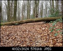 Samsung Galaxy S7 Edge – Qualität der Fotos-20160324_141756_002.jpg