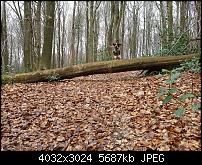 Samsung Galaxy S7 Edge – Qualität der Fotos-20160324_141756_004.jpg