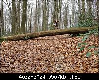 Samsung Galaxy S7 Edge – Qualität der Fotos-20160324_141756_005.jpg