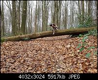 Samsung Galaxy S7 Edge – Qualität der Fotos-20160324_141756_010.jpg