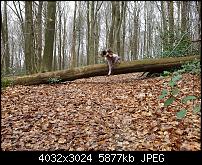 Samsung Galaxy S7 Edge – Qualität der Fotos-20160324_141756_011.jpg