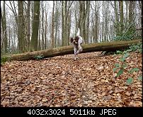 Samsung Galaxy S7 Edge – Qualität der Fotos-20160324_141756_012.jpg