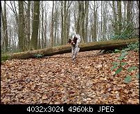 Samsung Galaxy S7 Edge – Qualität der Fotos-20160324_141756_013.jpg