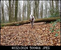 Samsung Galaxy S7 Edge – Qualität der Fotos-20160324_141756_014.jpg