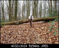 Samsung Galaxy S7 Edge – Qualität der Fotos-20160324_141756_015.jpg