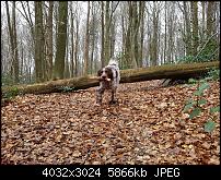 Samsung Galaxy S7 Edge – Qualität der Fotos-20160324_141756_017.jpg