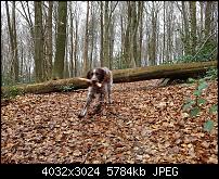 Samsung Galaxy S7 Edge – Qualität der Fotos-20160324_141756_018.jpg