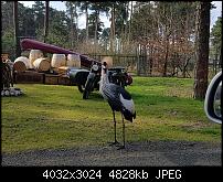 Samsung Galaxy S7 Edge  Qualität der Fotos-20160326_125228.jpg