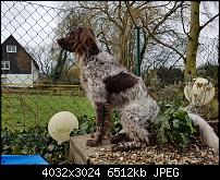 Bildqualität des Samsung Galaxy S7 - Kamera-20160306_105850.jpg