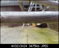 Bildqualität des Samsung Galaxy S7 - Kamera-20160306_105723.jpg