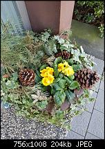 Bildqualität des Samsung Galaxy S7 - Kamera-uploadfromtaptalk1457864142125.jpg