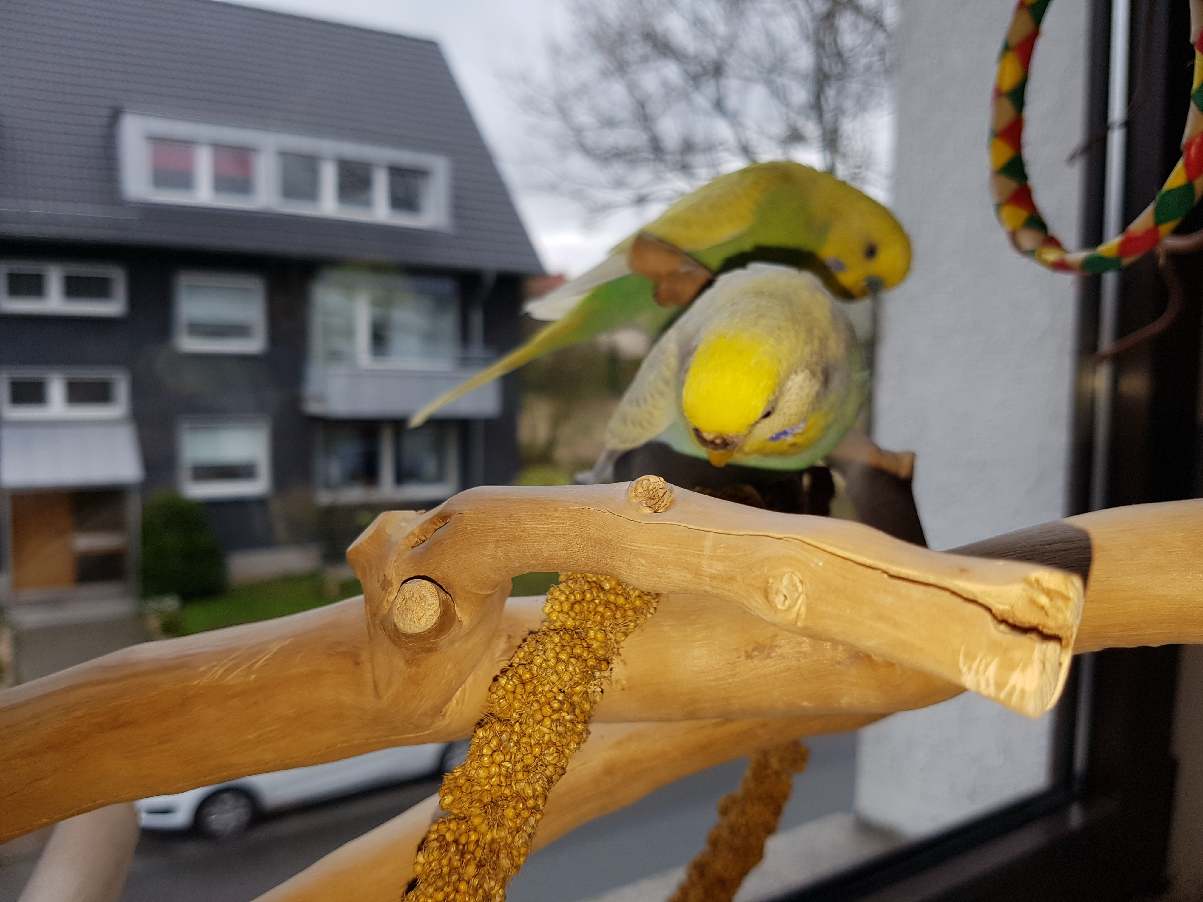 Bildqualität des Samsung Galaxy S7 - Kamera-20160405_093205.jpg