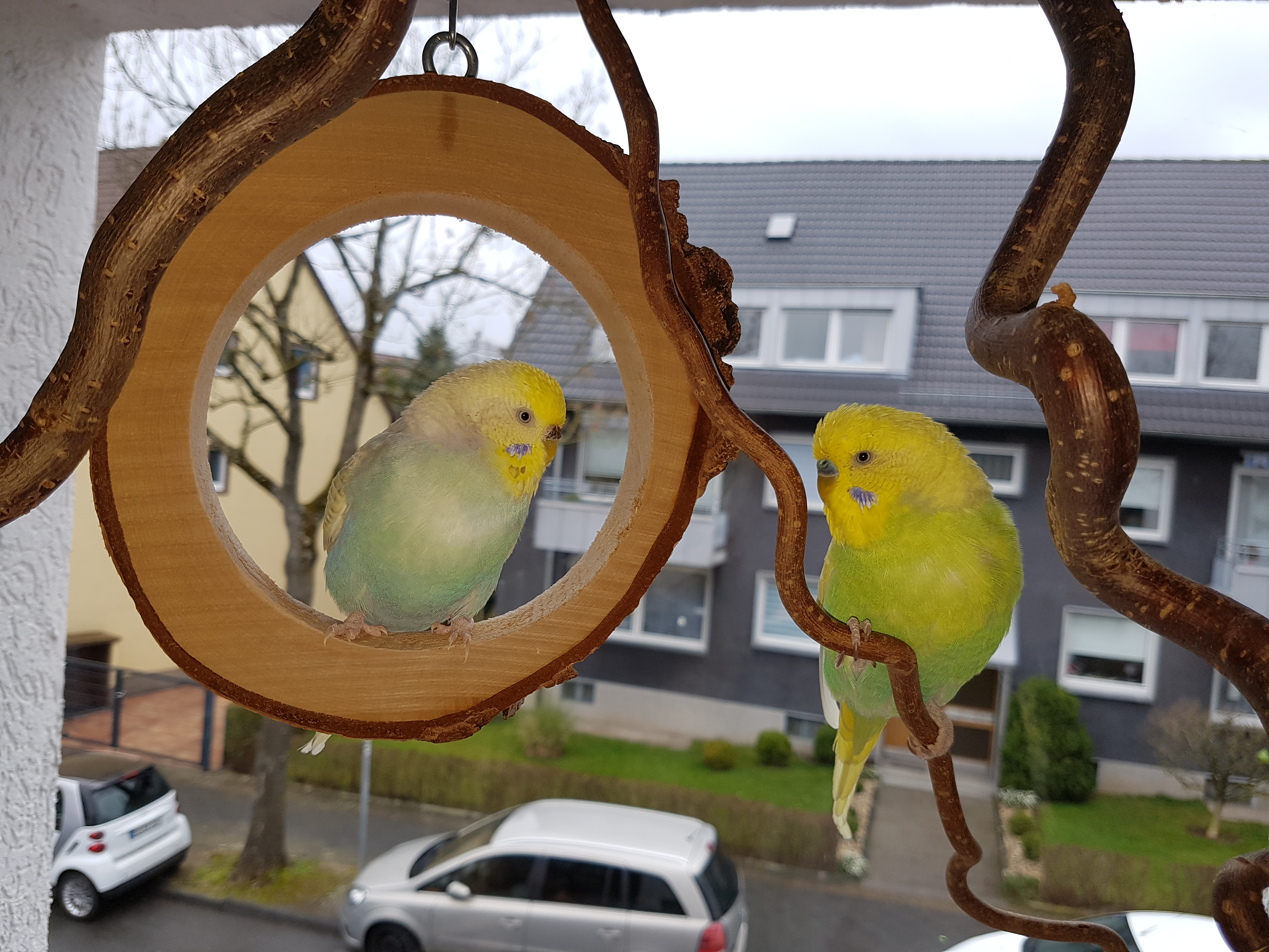 Bildqualität des Samsung Galaxy S7 - Kamera-20160405_094917.jpg