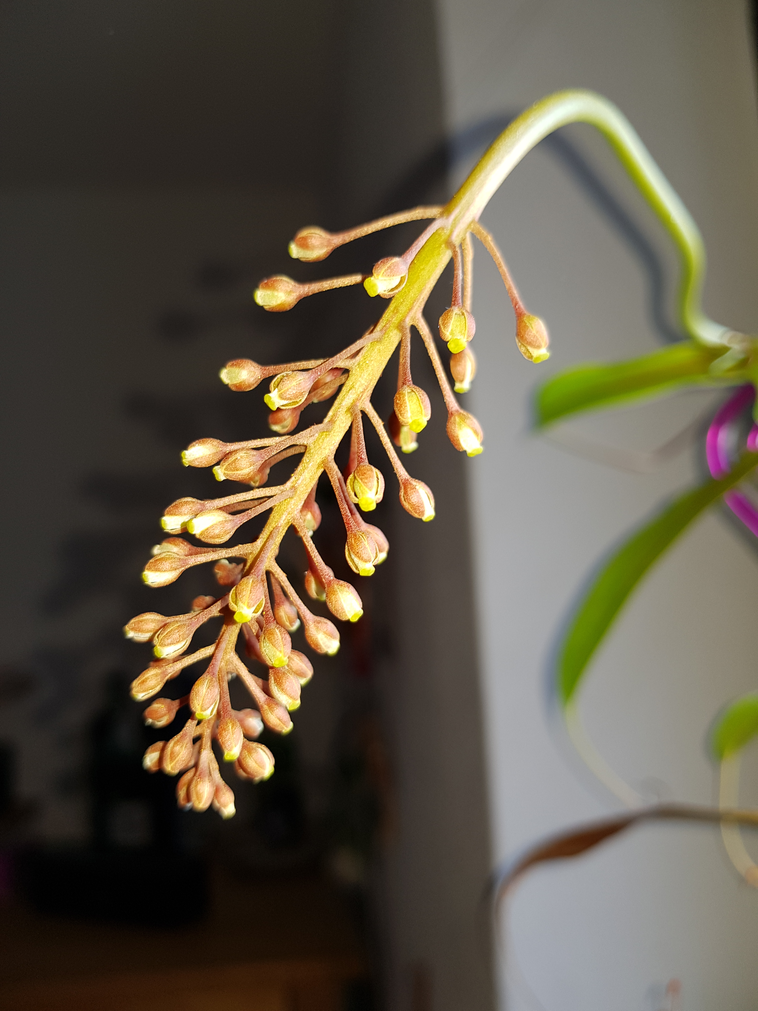 Samsung Galaxy S8 - Qualität der Photos-20170508_185500.jpg