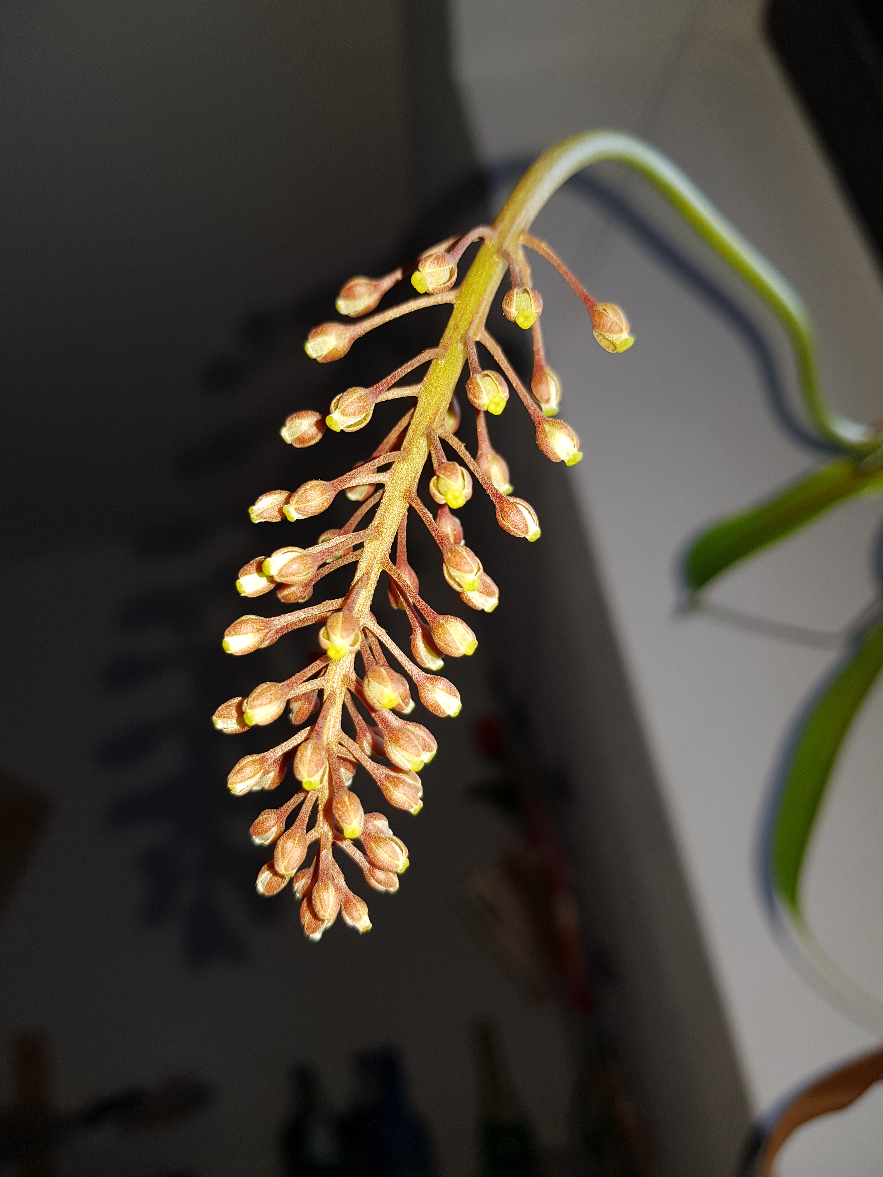 Samsung Galaxy S8 - Qualität der Photos-20170508_190305.jpg