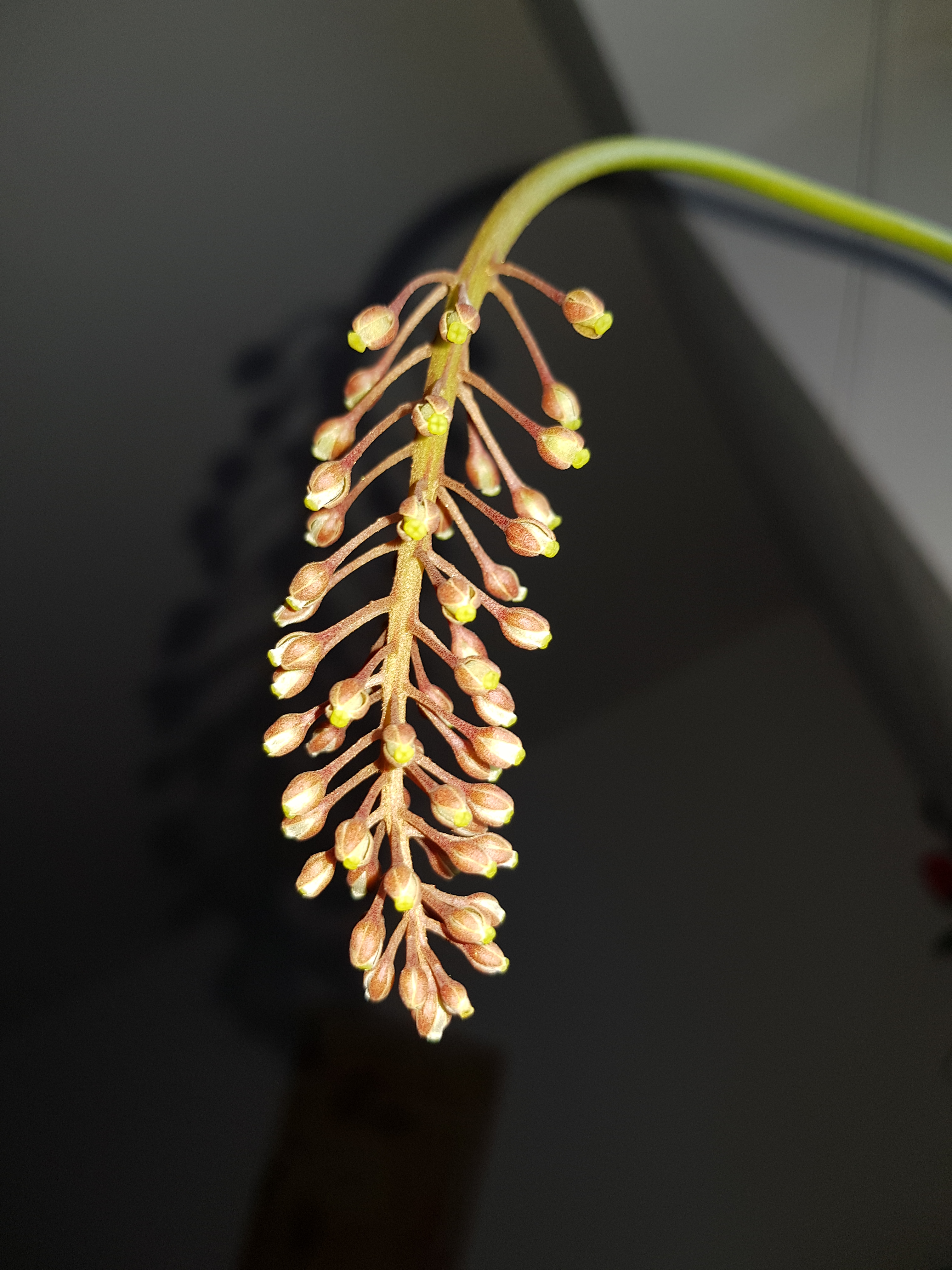 Samsung Galaxy S8 - Qualität der Photos-20170508_190706.jpg