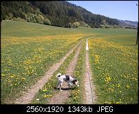 Kamera beim Omnia 7-wp_000116.jpg