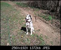 Kamera beim Omnia 7-wp_000075.jpg