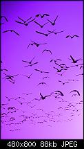 Lockscreen Hintergrund-Bilder aus 7.0.7004.0 oder NoDo-wallpaper_04-1-.jpg
