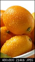 Wo gibts das Omnia 2 Hintergrundbild?-03_kumquats.jpg