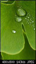 Wo gibts das Omnia 2 Hintergrundbild?-02_water_drop.jpg