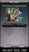 SFR Password-screen03.jpg