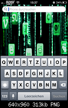 Anonymus Theme-img_1142.png