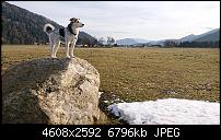 Sony Xperia XZ3 Kameraqualität-dsc_1816.jpg