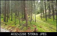 Sony Xperia XZ3 Kameraqualität-20181224_122139.jpg