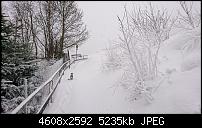 Sony Xperia XZ3 Kameraqualität-dsc_1822.jpg