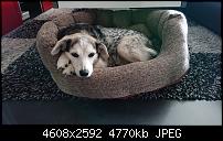 Sony Xperia XZ3 Kameraqualität-dsc_1933-1.jpg