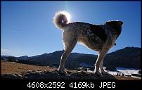 Sony Xperia XZ3 Kameraqualität-dsc_1965.jpg