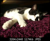 Fotos / Videos mit dem Xperia Arc-lisa.jpg