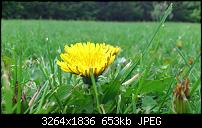 Fotos / Videos mit dem Xperia Arc-dsc_0128.jpg