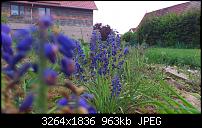 Fotos / Videos mit dem Xperia Arc-dsc_0132.jpg