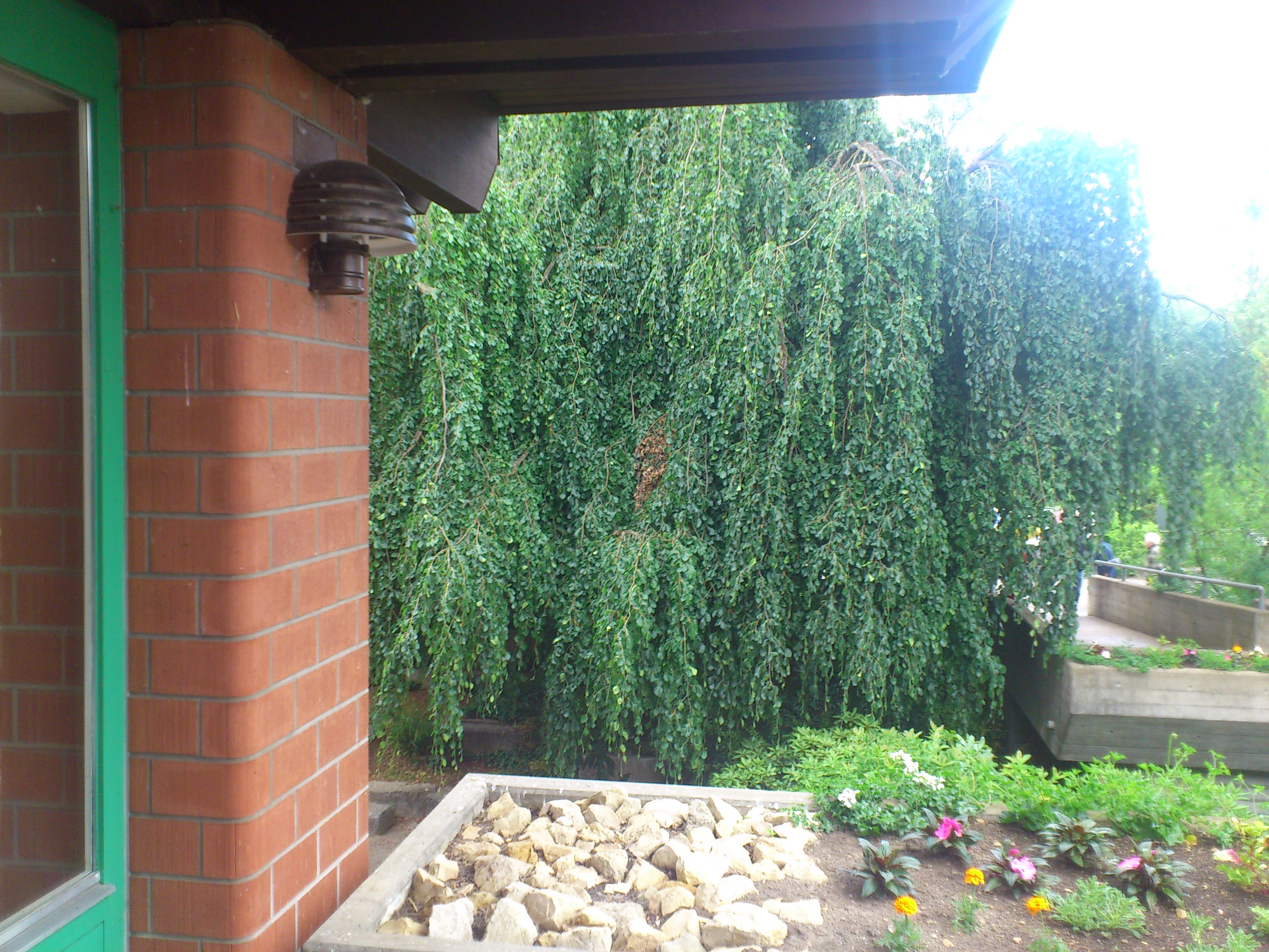 das Arc als Bestes aktuelles Smartphone Gekürt-arc_3.jpg