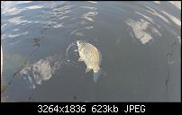Fotos / Videos mit dem Xperia Arc-dsc_1149.jpg