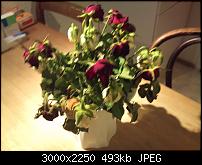 Fotokamera des Xperia X10-dsc_0004.jpg