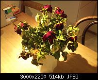 Fotokamera des Xperia X10-dsc_0005.jpg