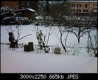 Fotokamera des Xperia X10-dsc_0009.jpg