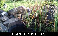 Der ultimative Kamera/Bilder Thread!-dsc_0034.jpg